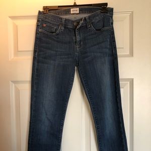 Dark Wash Hudson Skinny Jeans